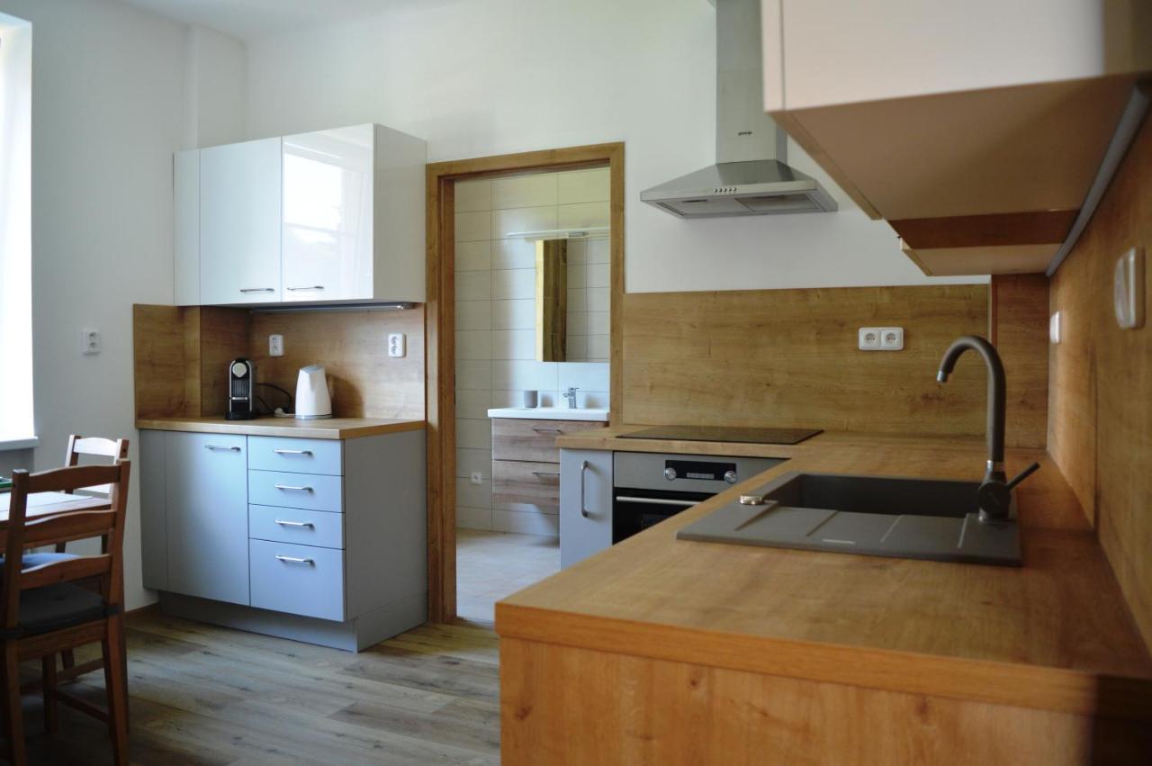 Apartmán u Malého jezu Ceske Budejovice Exterior foto