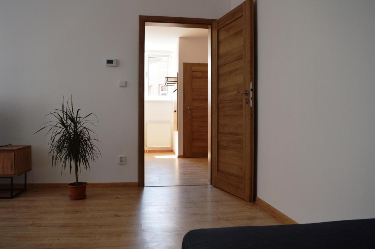 Apartmán u Malého jezu Ceske Budejovice Exterior foto