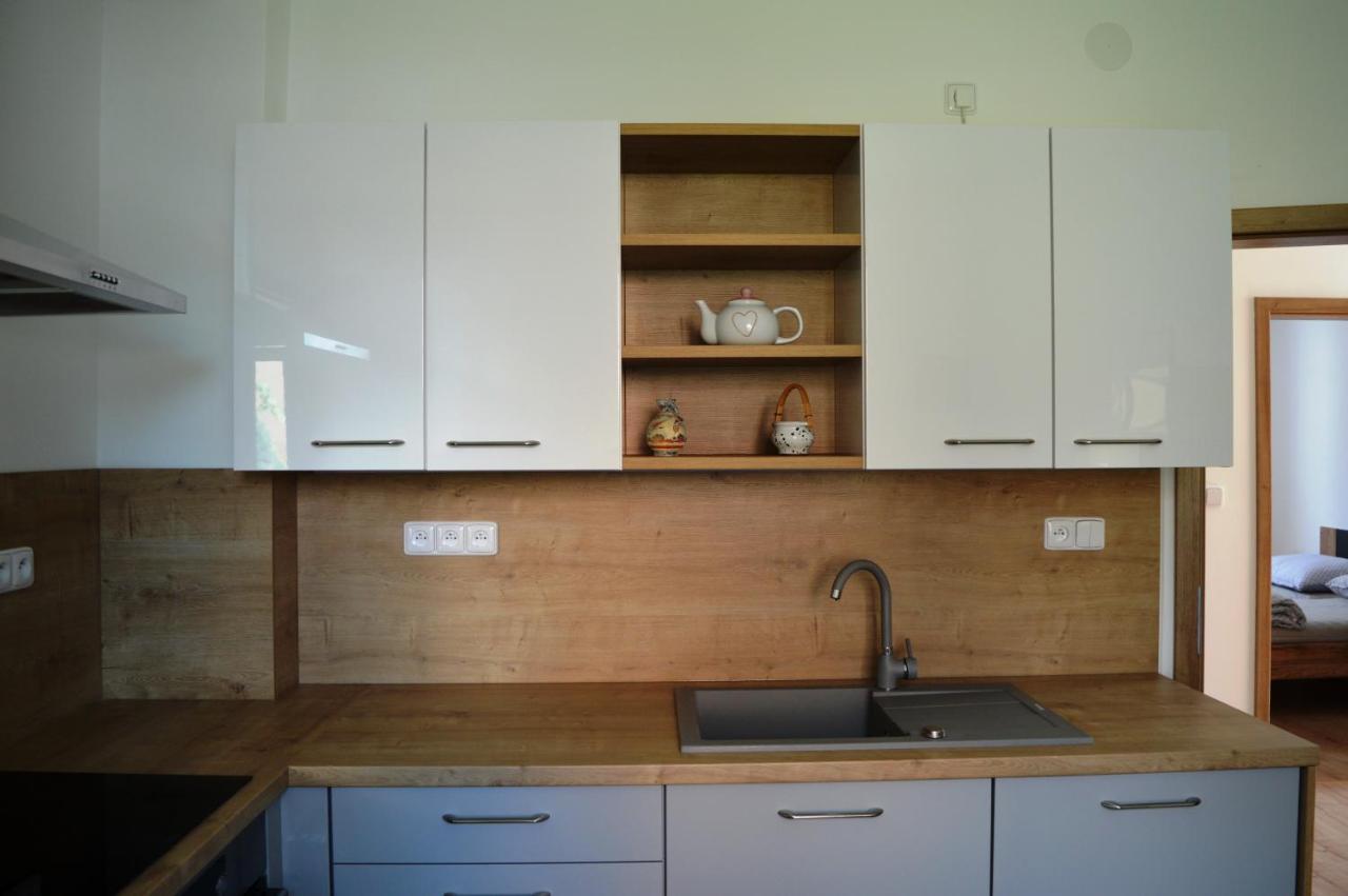 Apartmán u Malého jezu Ceske Budejovice Exterior foto