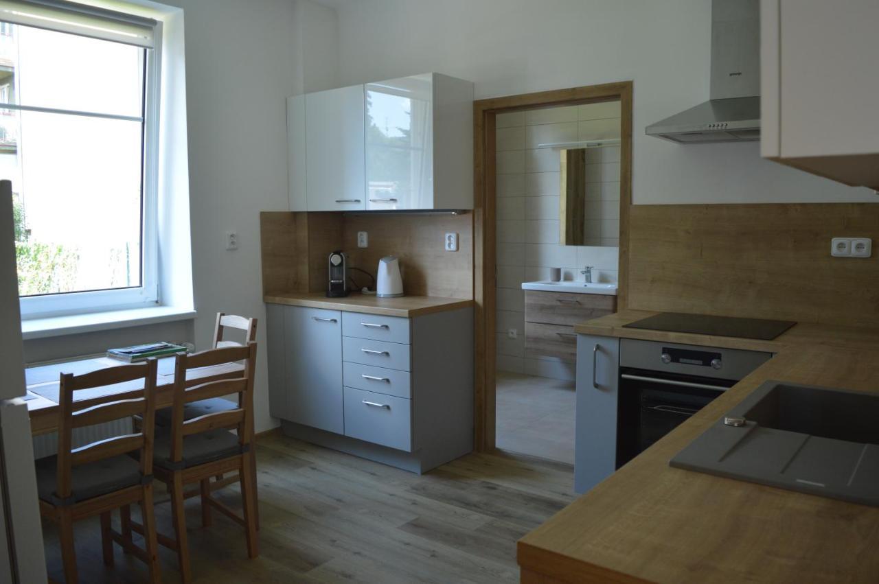 Apartmán u Malého jezu Ceske Budejovice Exterior foto